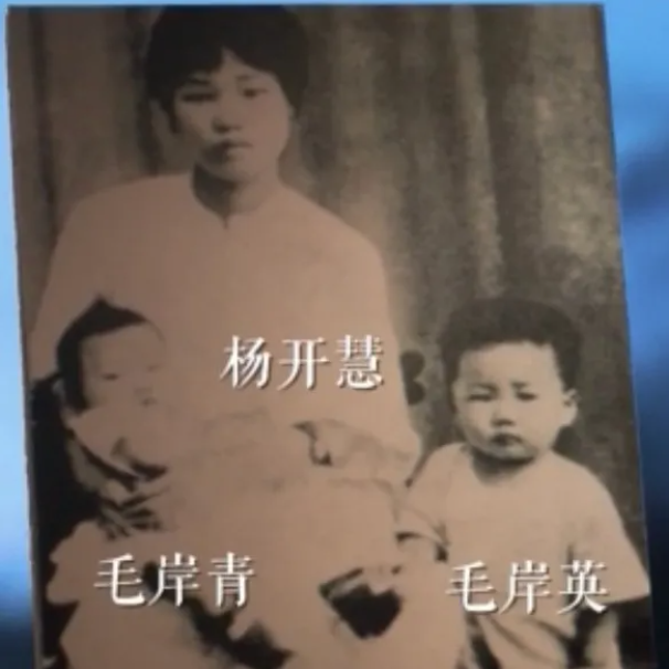【HEF黨建小課堂100講】第七十講：“打仗總是要死人的……不要因為是我的兒子，就當成一件大事”(圖2)