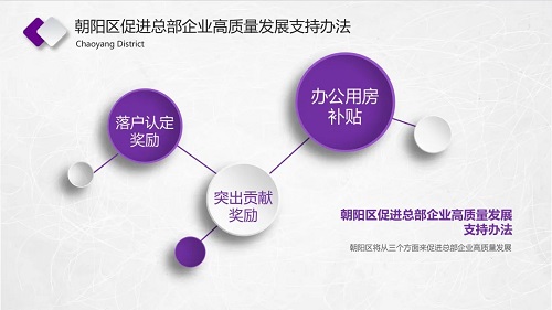 朝陽區(qū)“總部企業(yè)政策宣講會(huì)”在京圓滿舉辦(圖5)